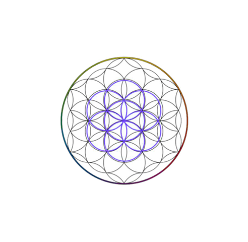 Evolve Tarot Companion