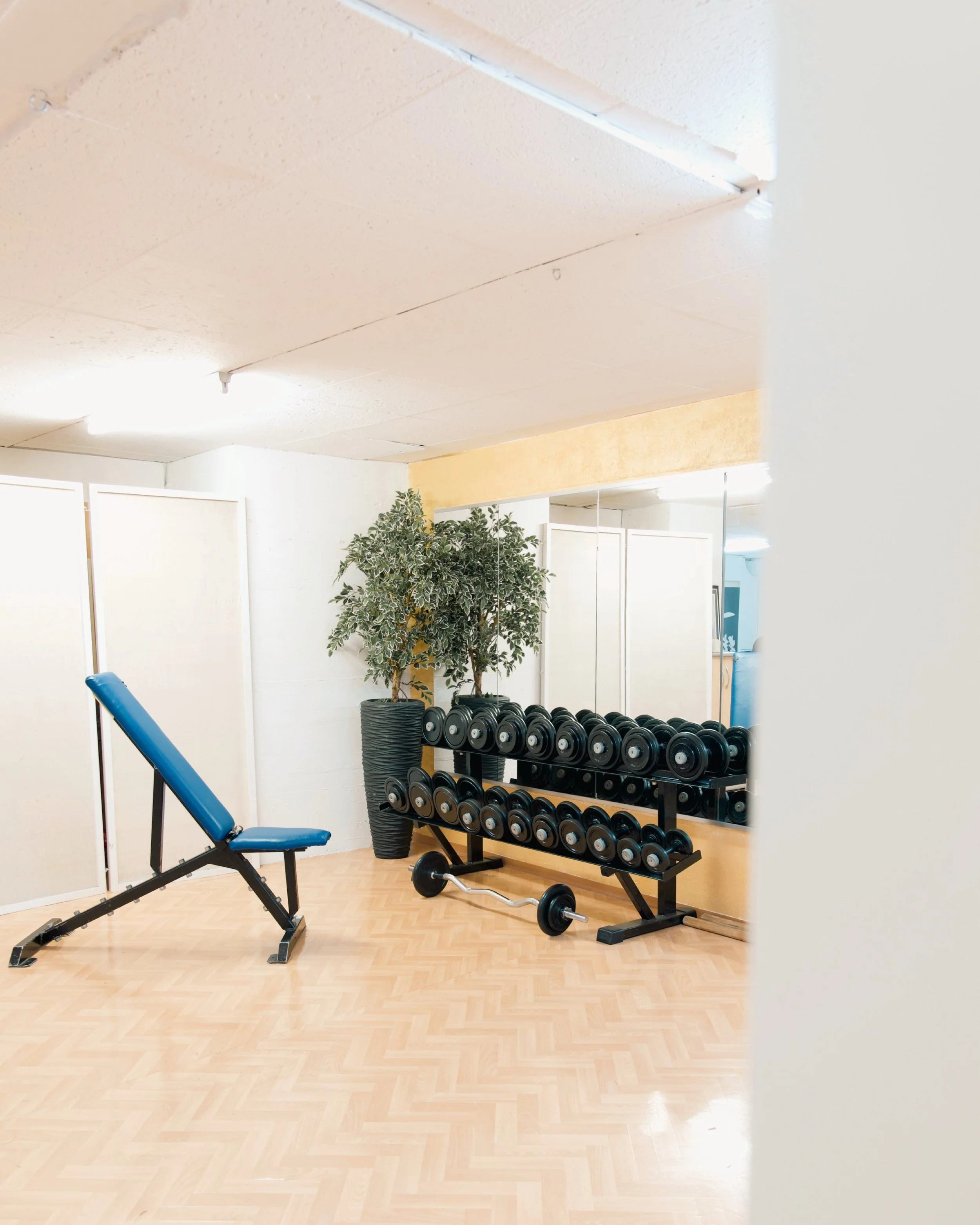 Ein Fitnessraum mit Hanteln, einer Übungsliege, einem Spiegel und einer Pflanze.
