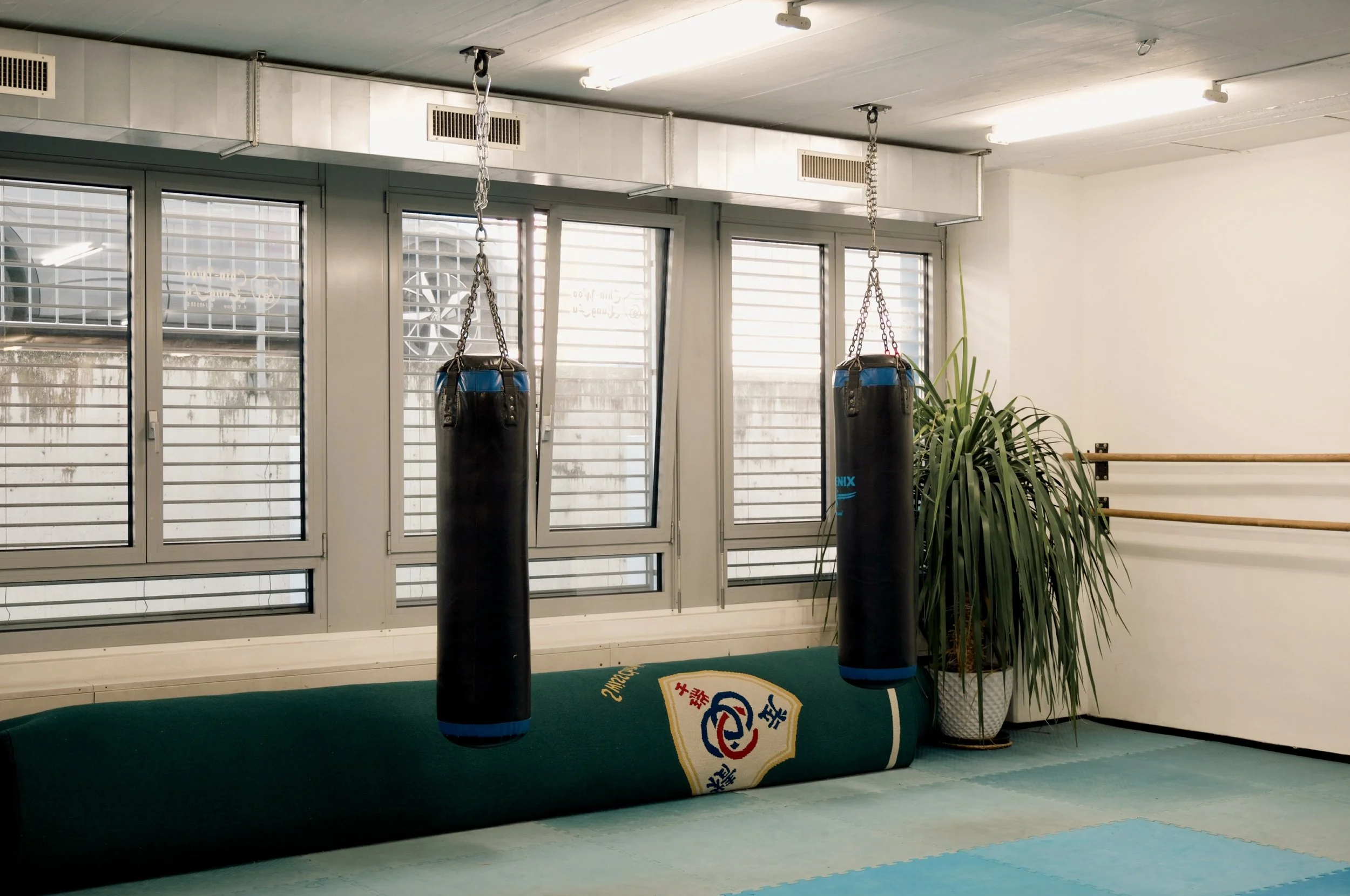 Kampfsport-Trainingsraum mit zwei schwarzen Sandsäcken, einem großen gestrickten Mattenball auf dem Boden, einer großen Zimmerpflanze in einem weißen Top, Fenster mit Metallgittern und weißen Wänden.