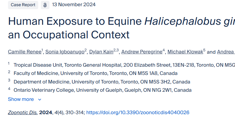 This paper clearly identifies a known risk associated with tubing horses.  I this article, the veterinarian contracted a parasite through a nasogastric tube while treating a horse.