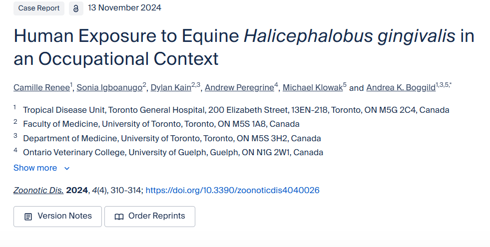 Human Exposure to Equine Halicephalobus gingivalis in an Occupational Context
