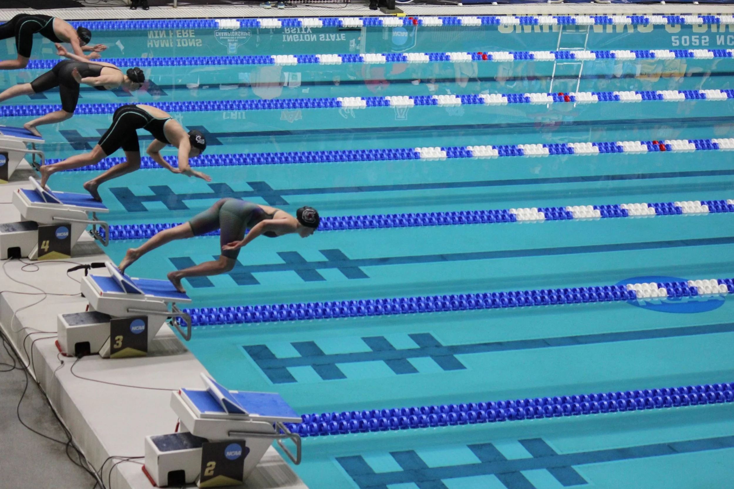 college swimmers racing at Division 1 NCAA Championships