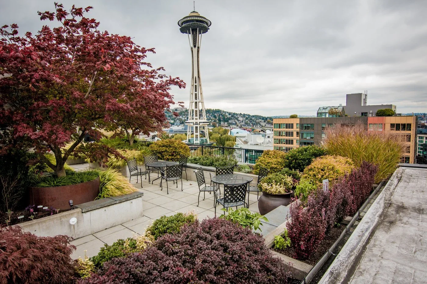 Fence company near me building cedar fencing for property in Seattle, WA