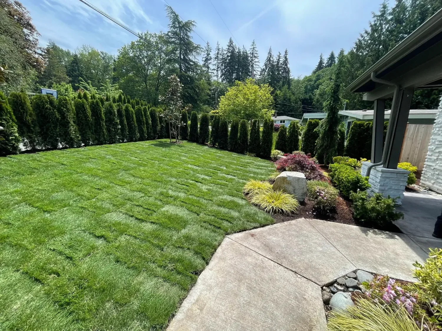Sod installation project in Mercer Island, WA with fresh lawn, planting beds, privacy trees, and a clean backyard landscape layout