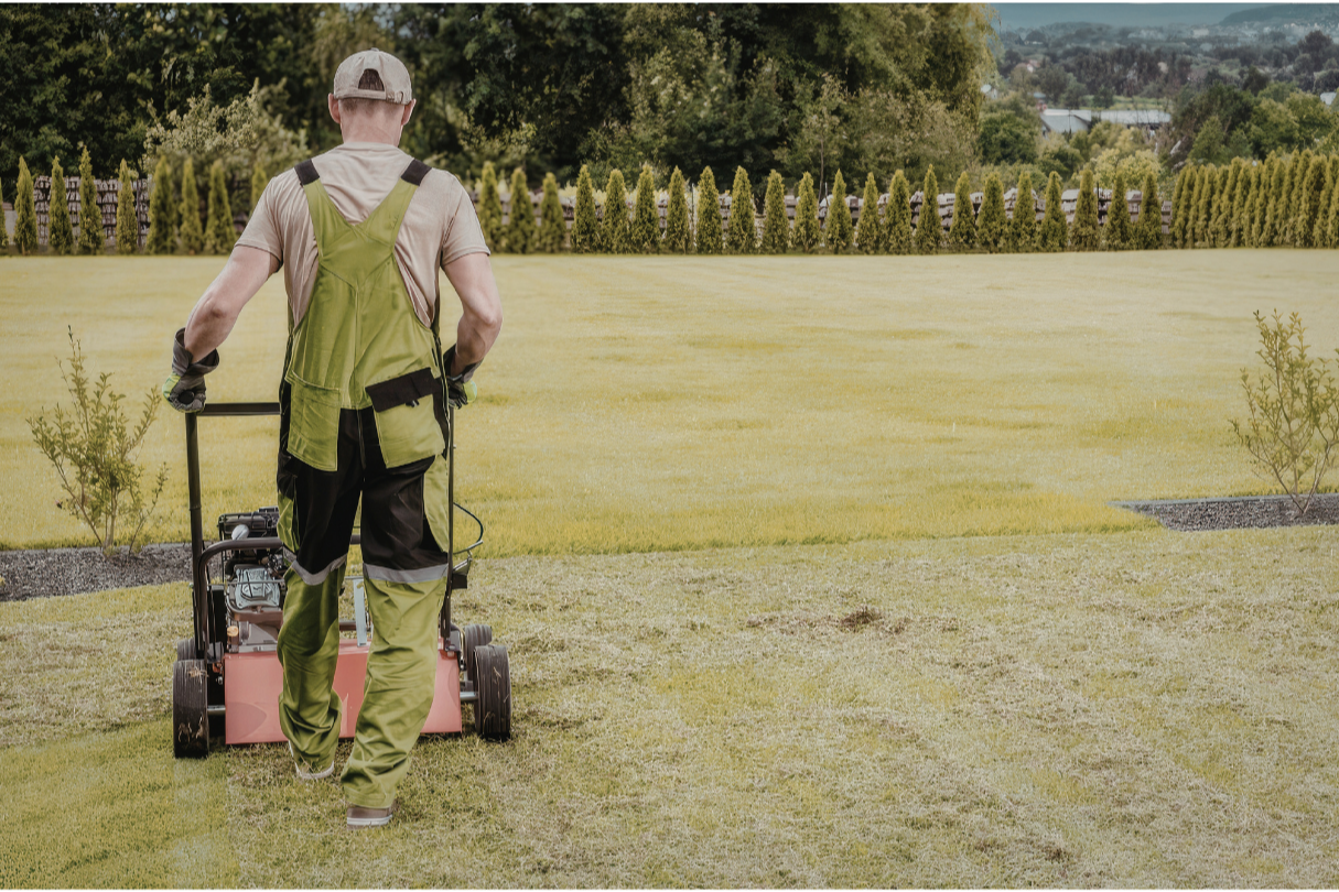 When to Aerate Lawn in Seattle: Fall, Spring, or Both?