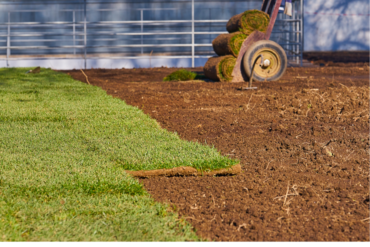 Bellevue Sod Installation Service: What to Expect, What It Costs, and Who to Call