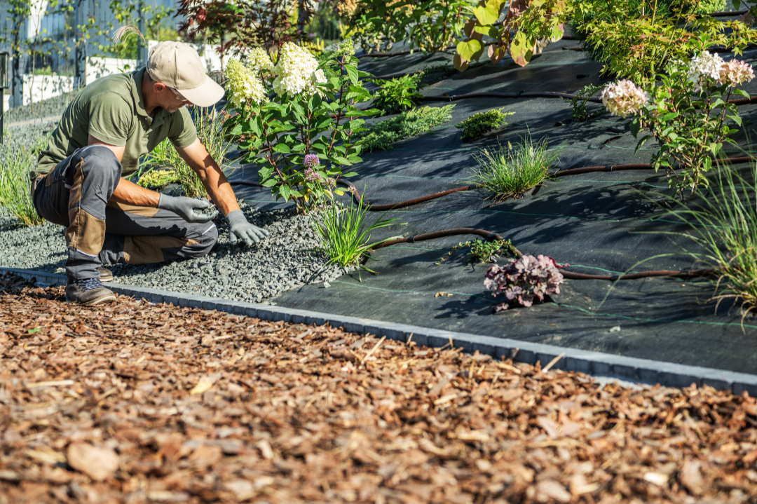 What Is the Average Cost of Landscaping in the Seattle Area? A Honest Breakdown