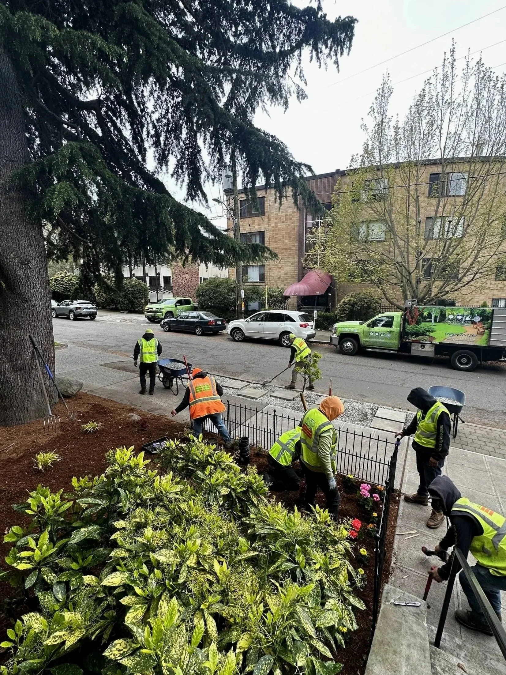 Crew installing plants and completing residential landscape work in Redmond, WA