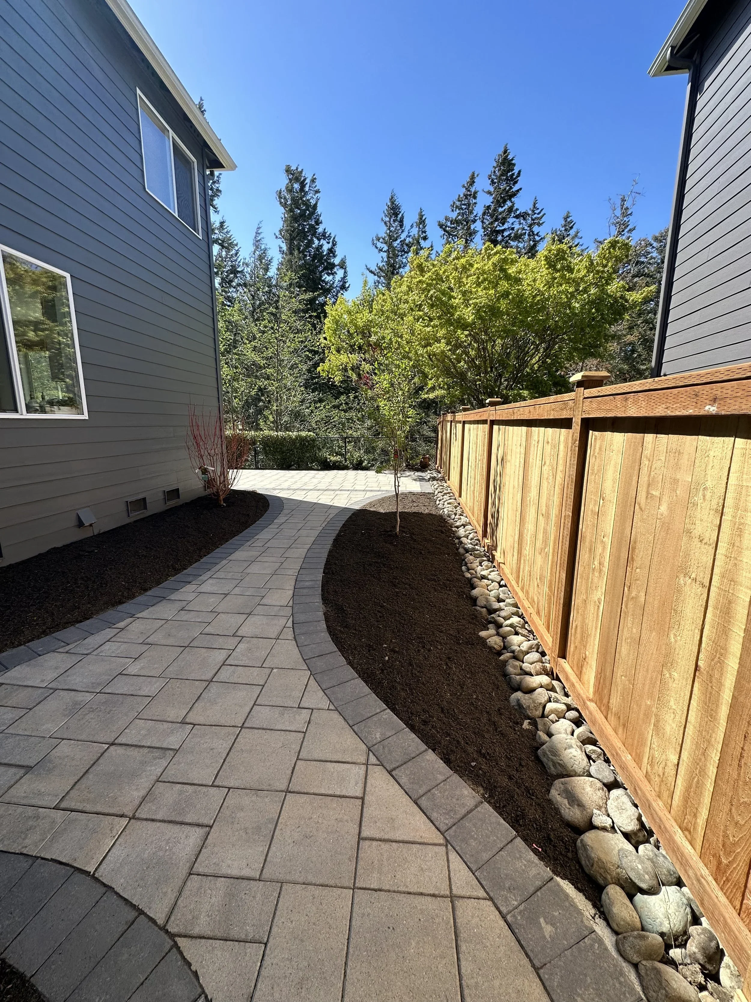 A paver patio walkway designed as part of new landscaping in Mercer Island, WA