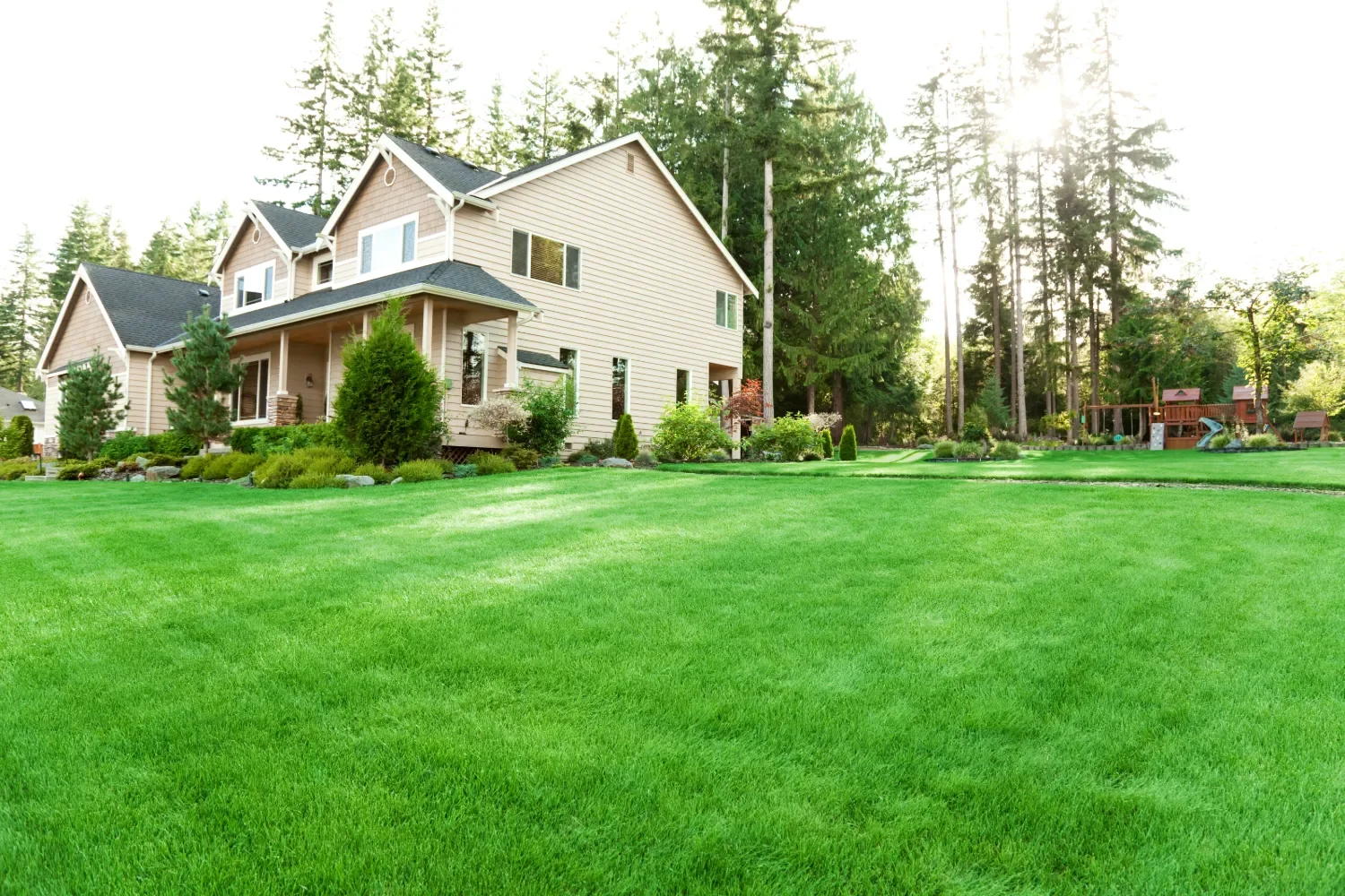 Residential landscaping and healthy green lawn at a home in Seattle, WA