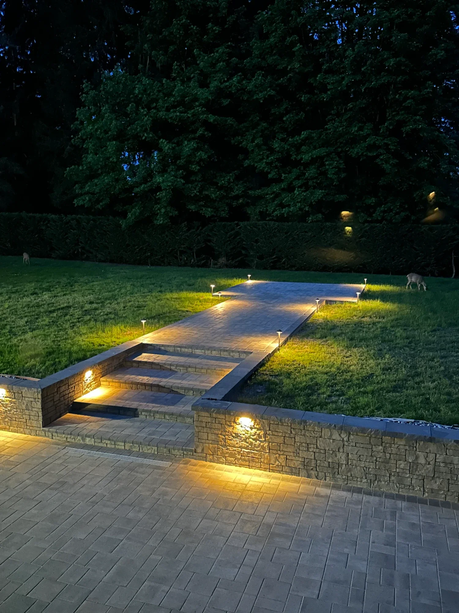 Landscape lighting highlighting garden beds and pathways in Issaquah, WA