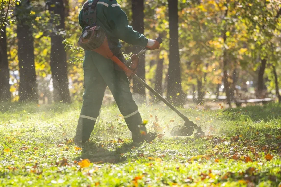 Lawn maintenance service in Redmond, WA with a crew member trimming grass in a landscaped outdoor area