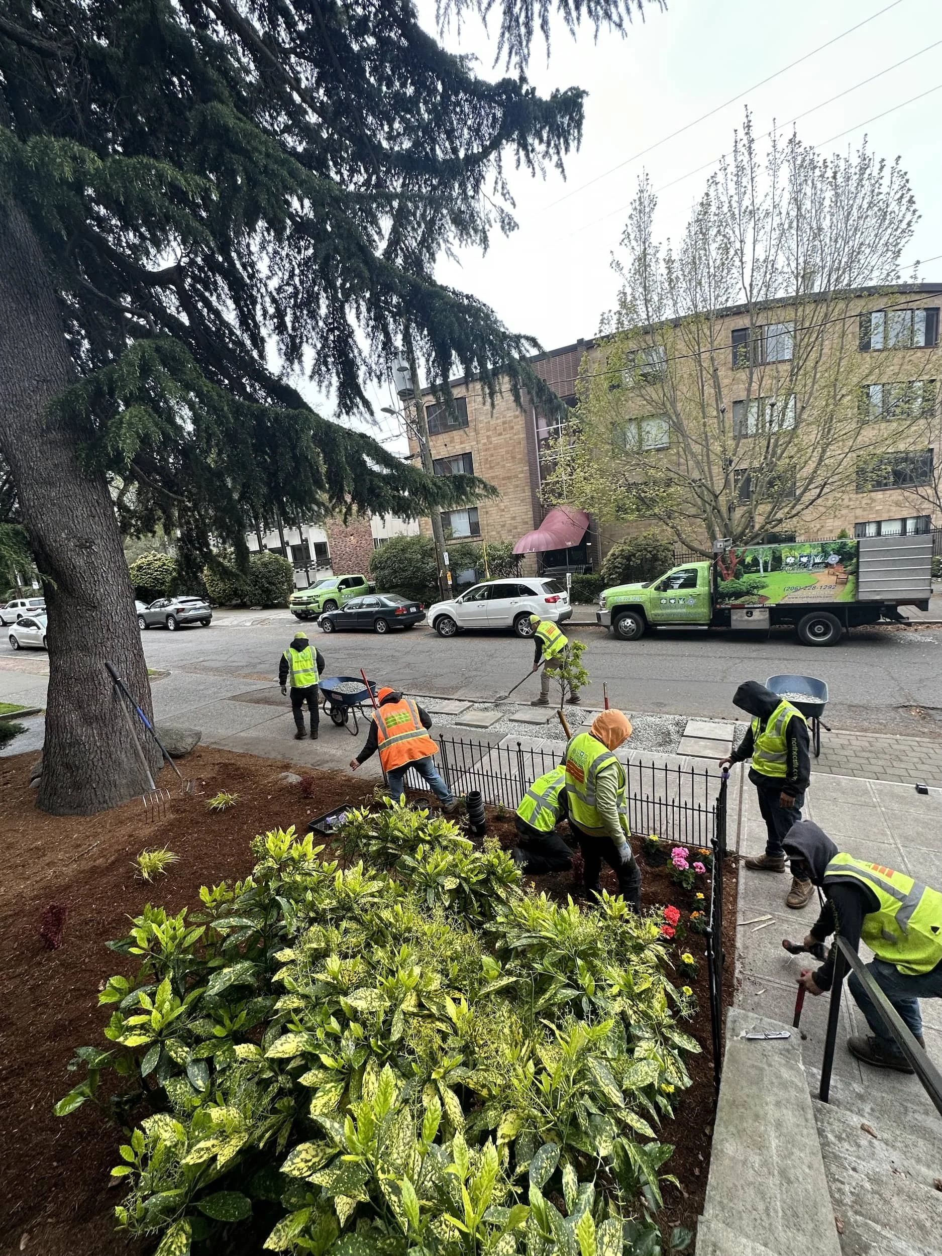 Commercial landscaping crew performing grounds maintenance at a Bellevue, WA HOA property