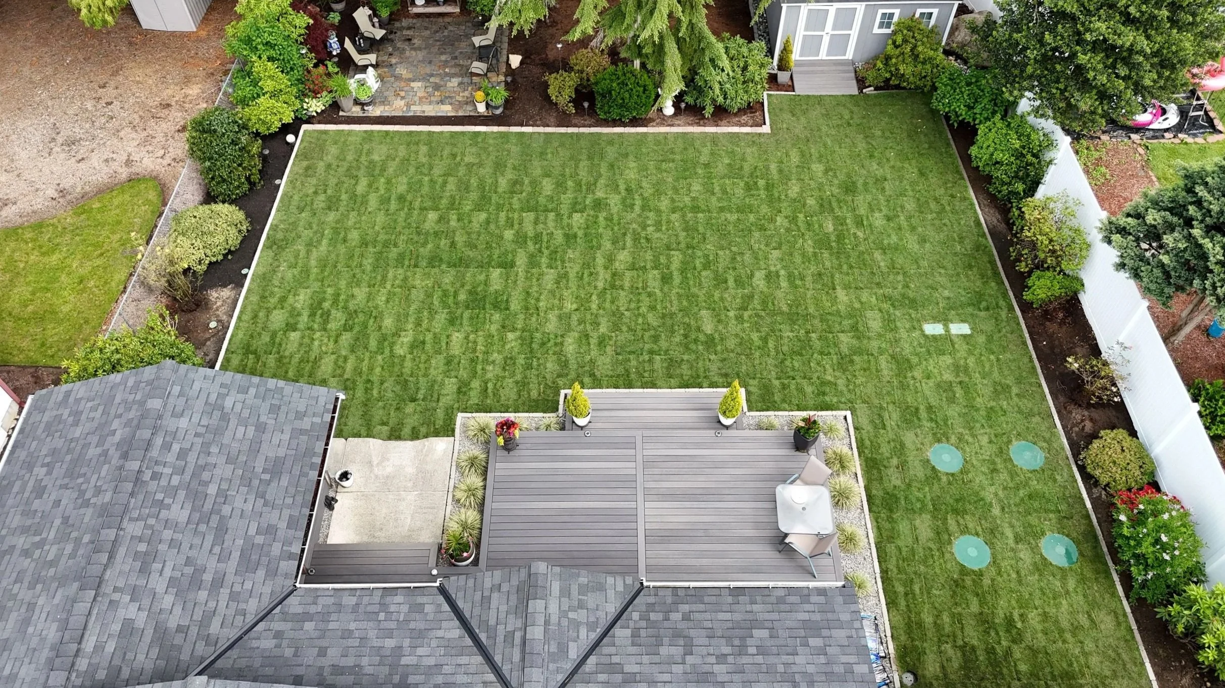 fresh sod installation in a Seattle, WA front yard