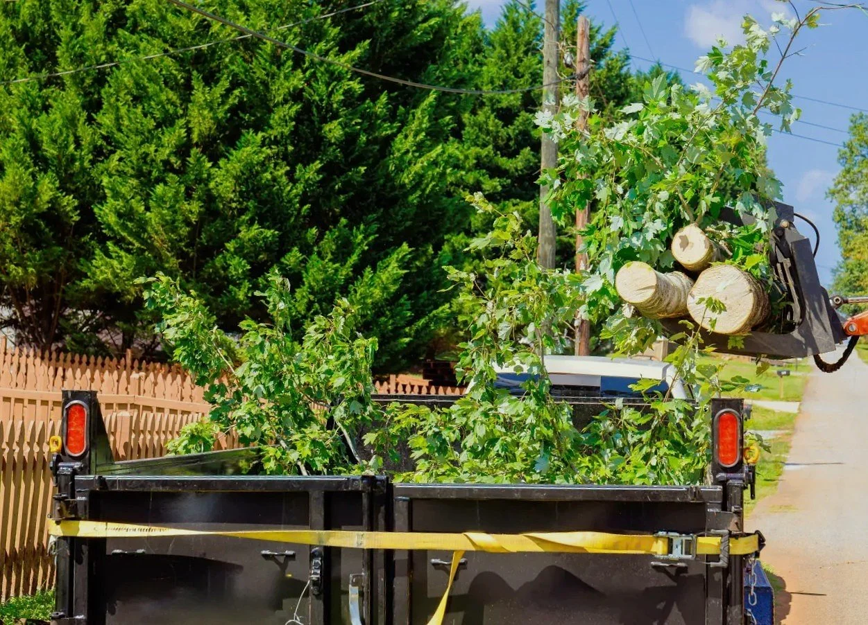 Truck loaded with tree limbs and cut branches during storm cleanup and debris removal in Renton, WA.