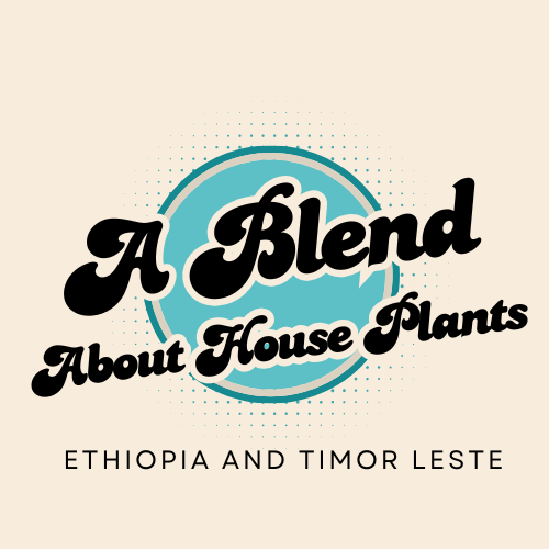 Copy of Espresso.png