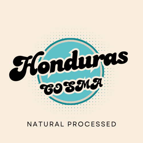 HONDURAS COMSA