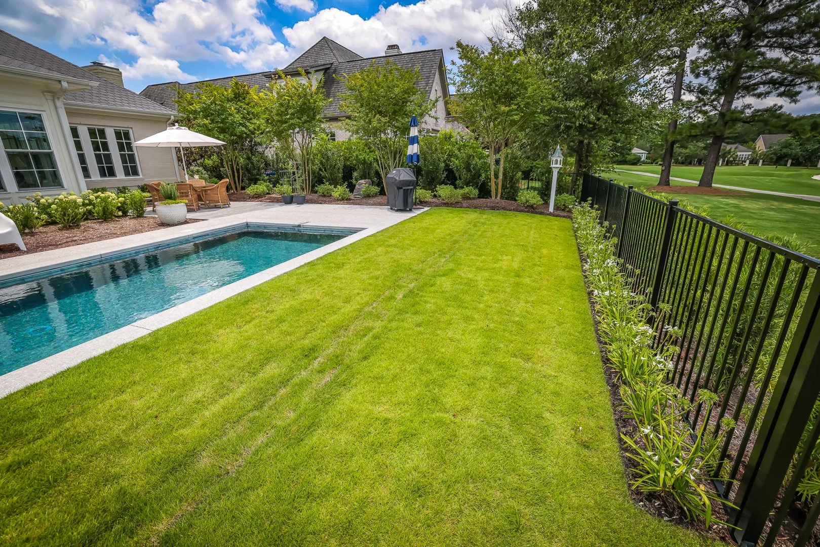 Why Your Wilmington Lawn Struggles After Heavy Rain: Lawn Care Tips for Drainage, Soil, and Turf Health