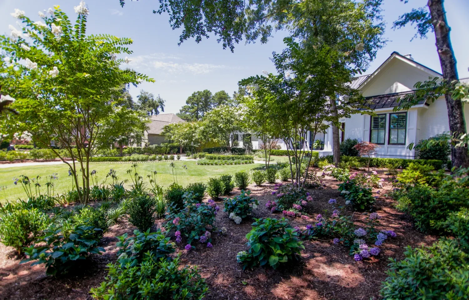 Soft evening lighting highlighting new plantings around a patio in Figure Eight Island, NC