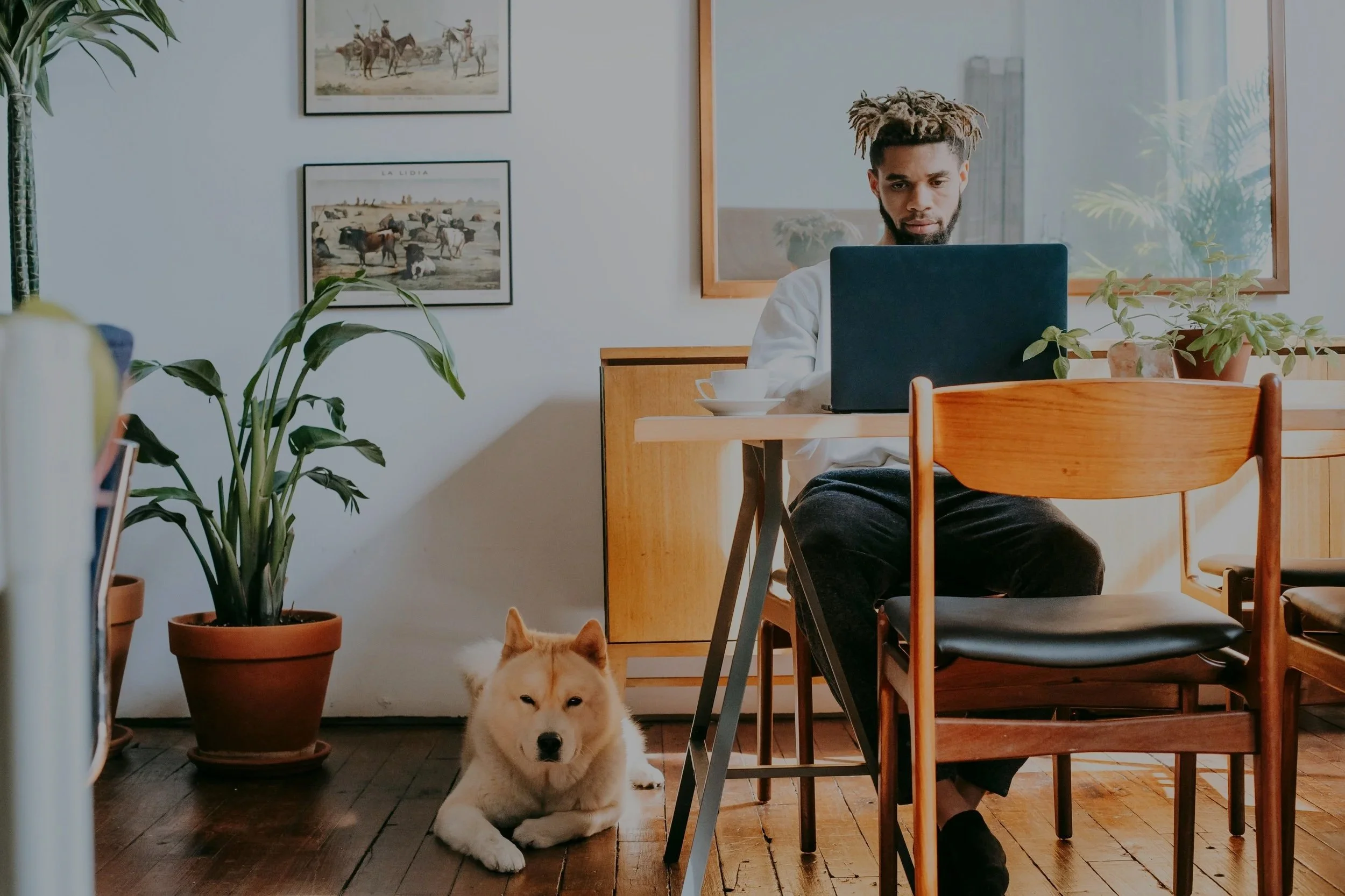 Virtual dog training with a certified dog trainer from magnolia Texas