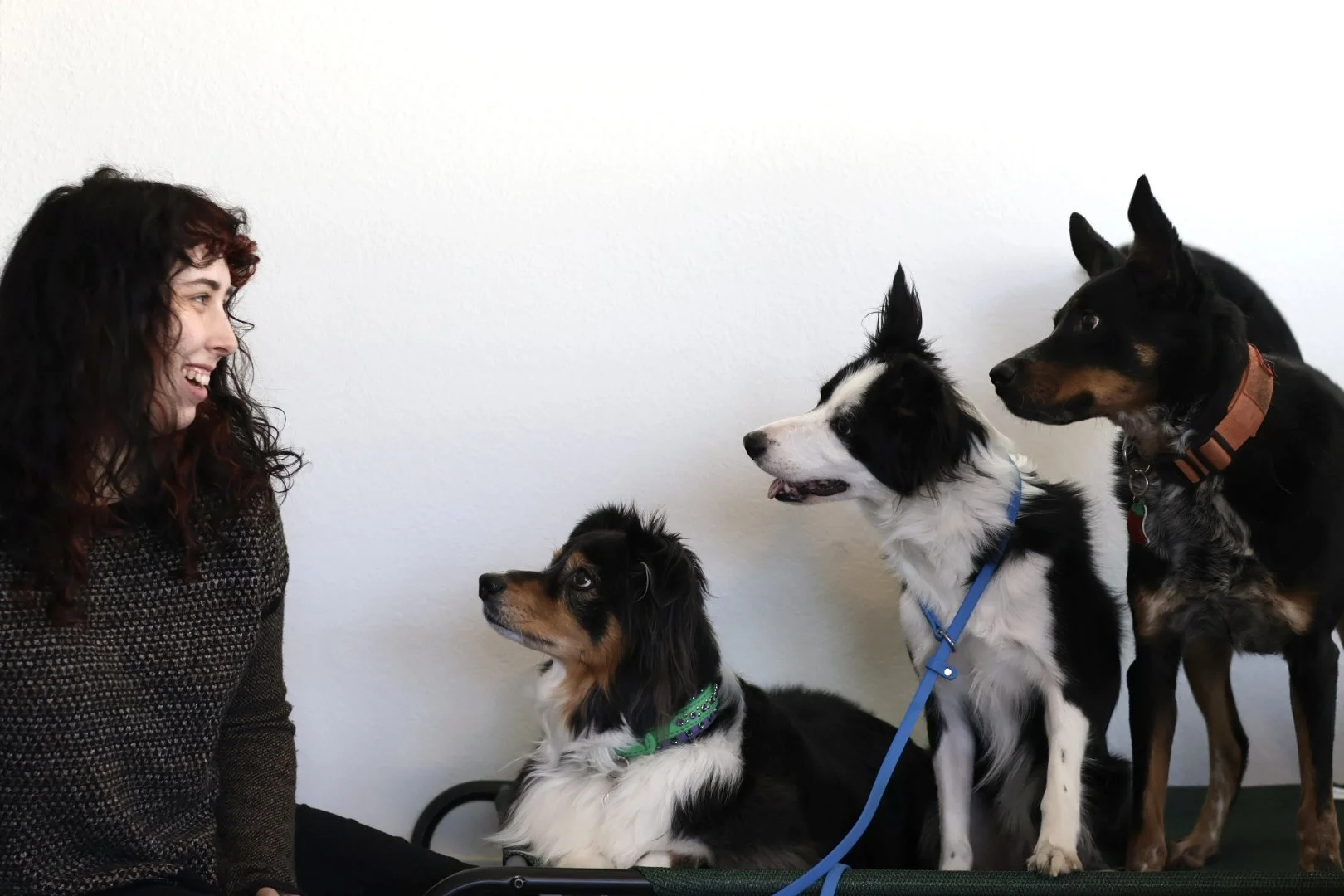 Lilliana LY CPDT-KA certified dog trainer and service dog trainer from Magnolia Texas sitting with her three dogs. Border collie, blue heeler, and aussie