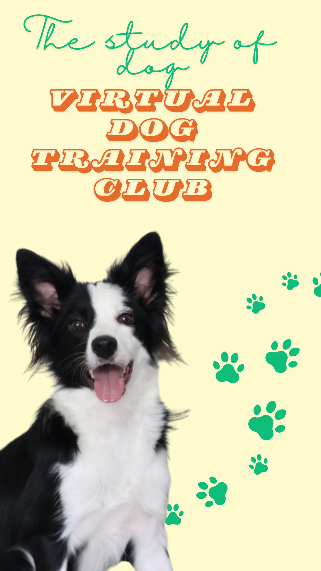 Cover image for 'The Study of Dog Virtual Dog Training Club' featuring a black and white Border Collie puppy with its mouth open, surrounded by green paw prints on a light yellow background, and colorful text in green, orange, and beige.