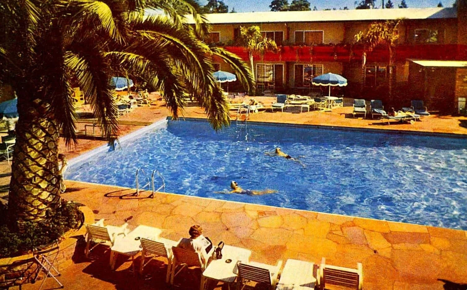 Swimming pool in a resort area with two people swimming, surrounded by lounge chairs, umbrellas, and palm trees, with a building in the background.