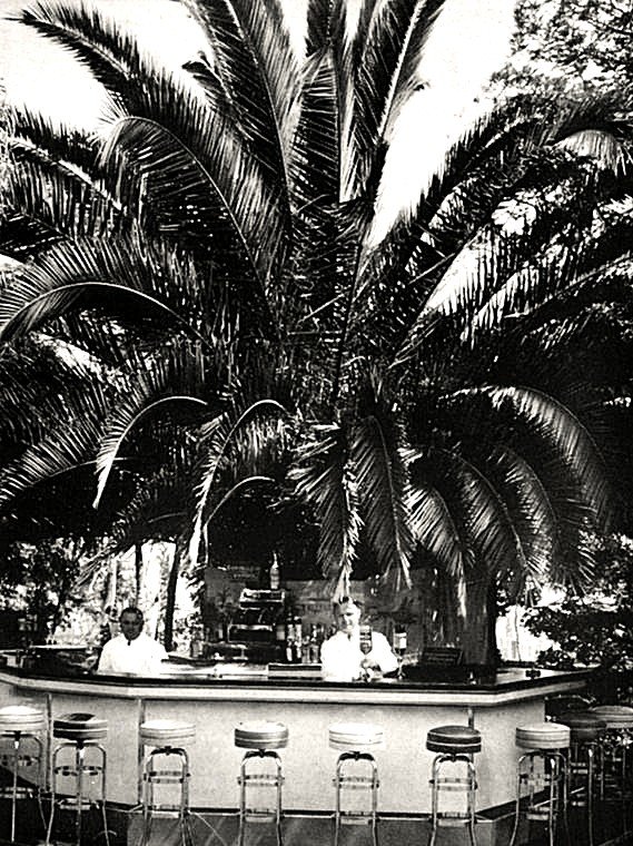 A large palm tree with wide fronds rises behind a bar with stools, and two people are behind the bar in a black-and-white photo.