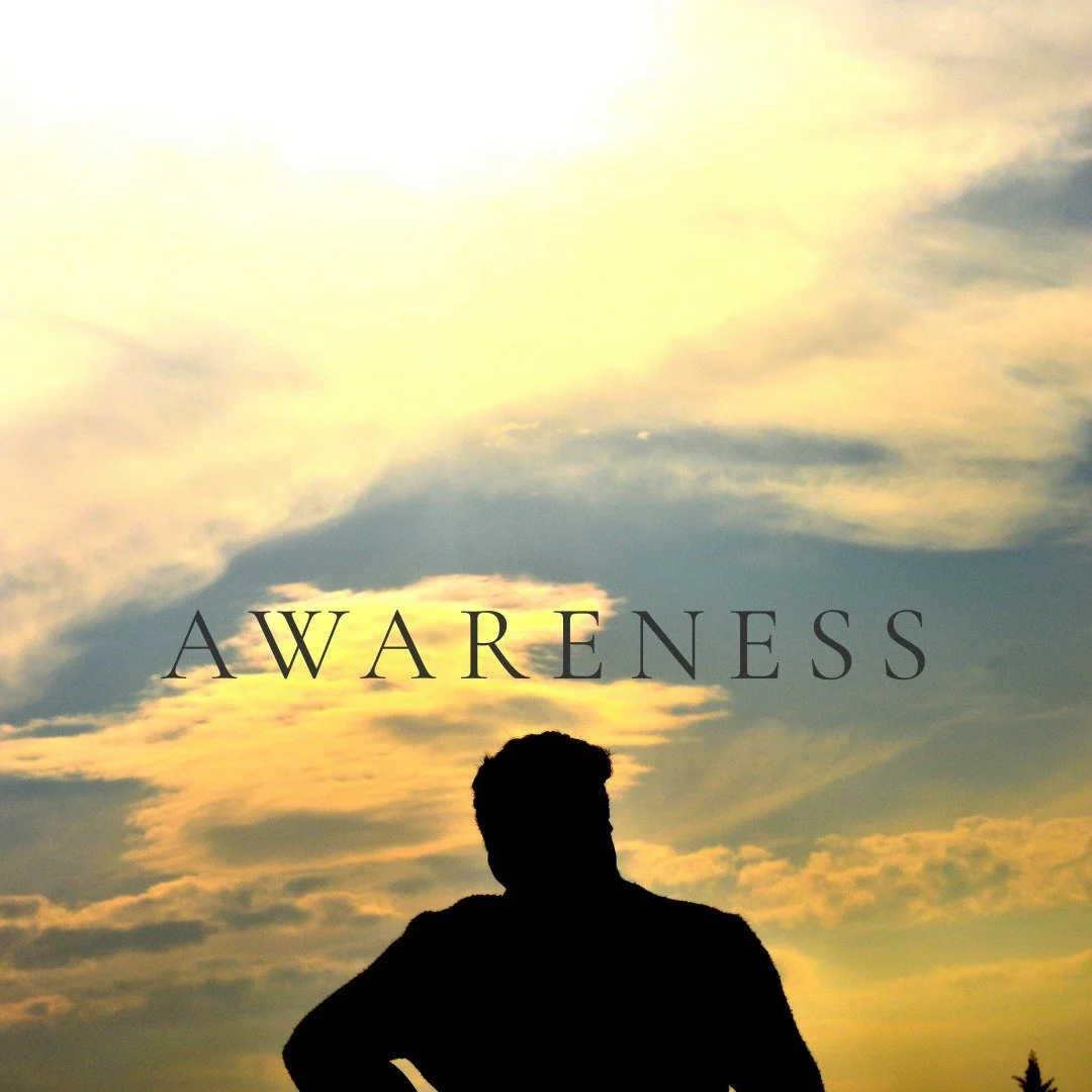Awareness is your first step. 
Notice when you are becoming overstimulated. 
Notice when you feel your cup is emptying and you are unable to replenish it. 
Notice what your body and mind are asking you for. 

Awareness isn't judgement. It's about com