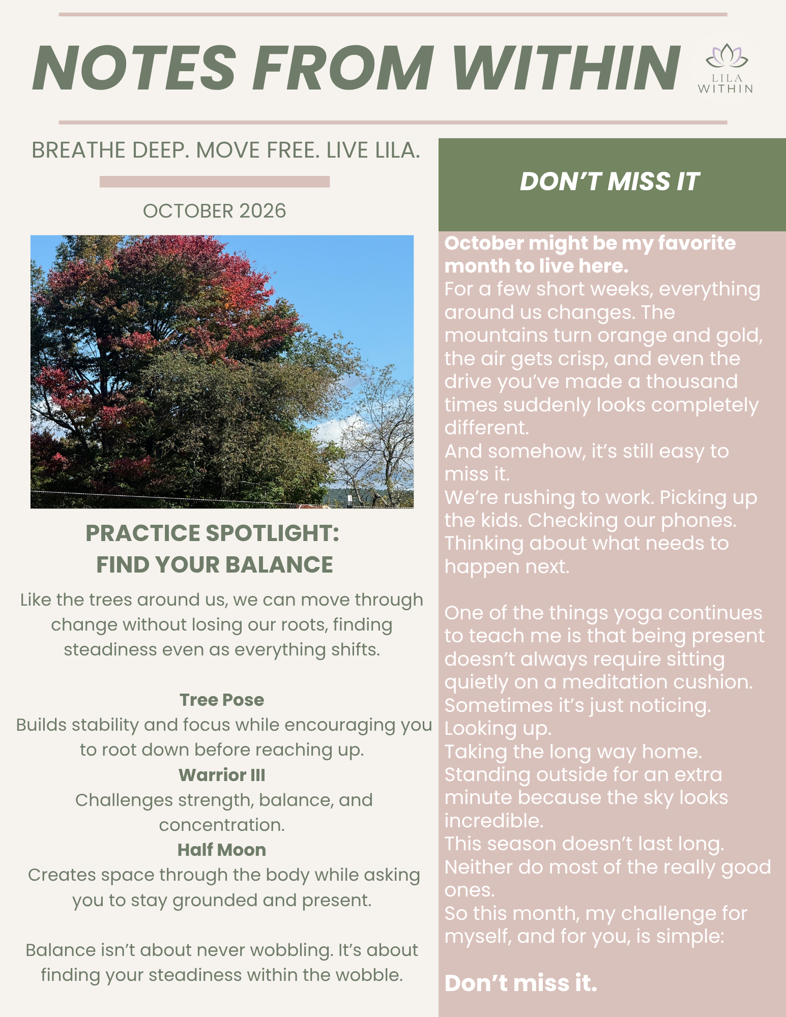 A newsletter titled 'Notes From Within' with a subtitle 'Breathe Deep. Move Free. Live Lila' for October 2026. It features an image of a tree with colorful foliage and sections with advice on mindfulness and balance, including practices like Tree Pose, Warrior III, and Half Moon, along with a column of text emphasizing living in the present.