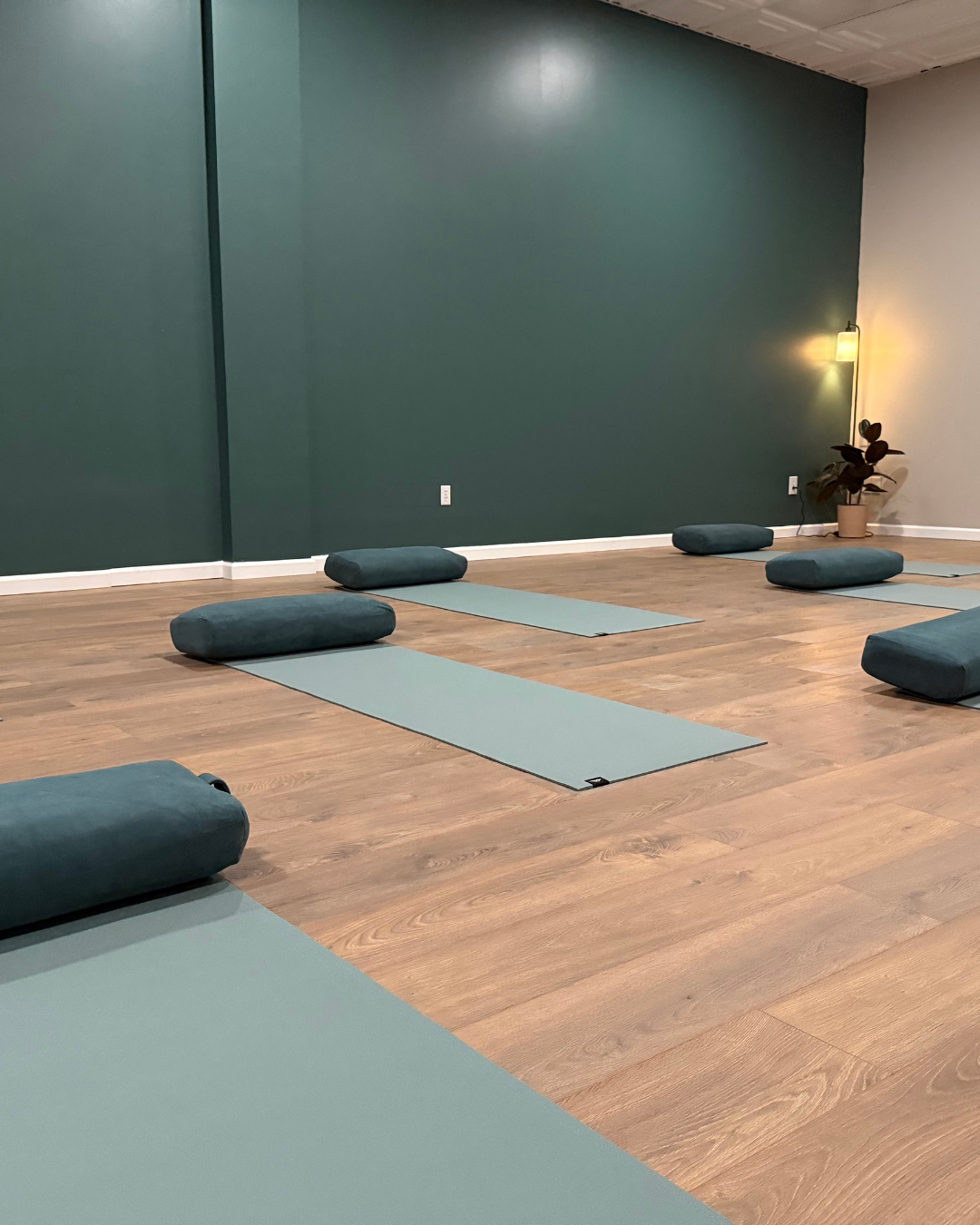A yoga studio with light blue yoga mats and bolsters, green and white walls, wooden floor, plants, and a wall-mounted lamp.