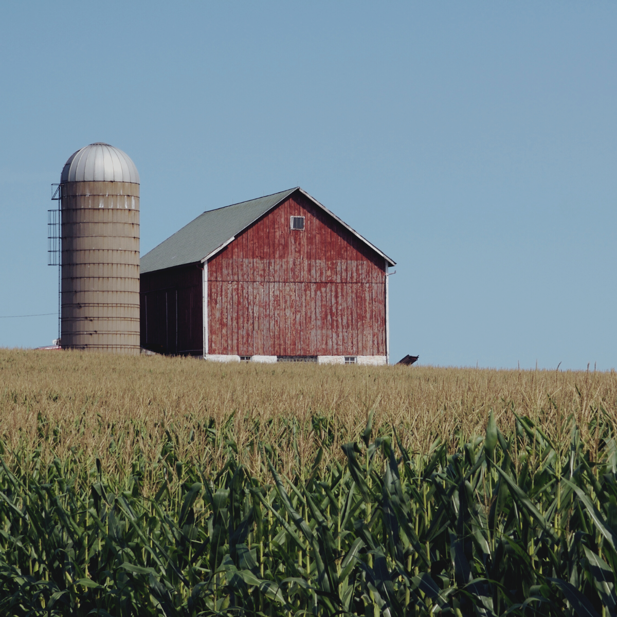 Field Note: The Name Beneath the Ledger