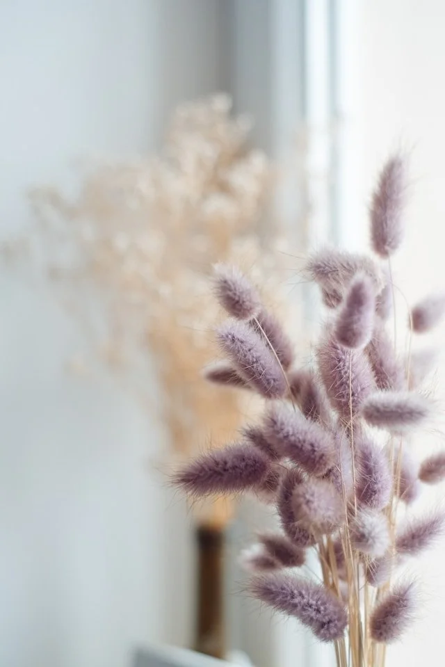 Close-up of purple bunny tail grass in a vase, blurred dried flowers in the background near a window.