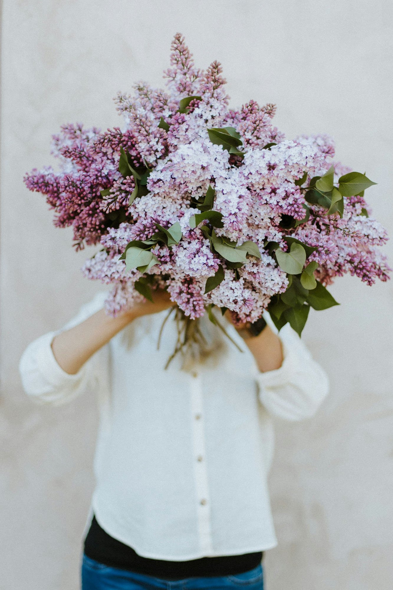 Person holding a large bouquet of lilac flowers in front of their face, wearing a white button-up shirt and blue jeans.