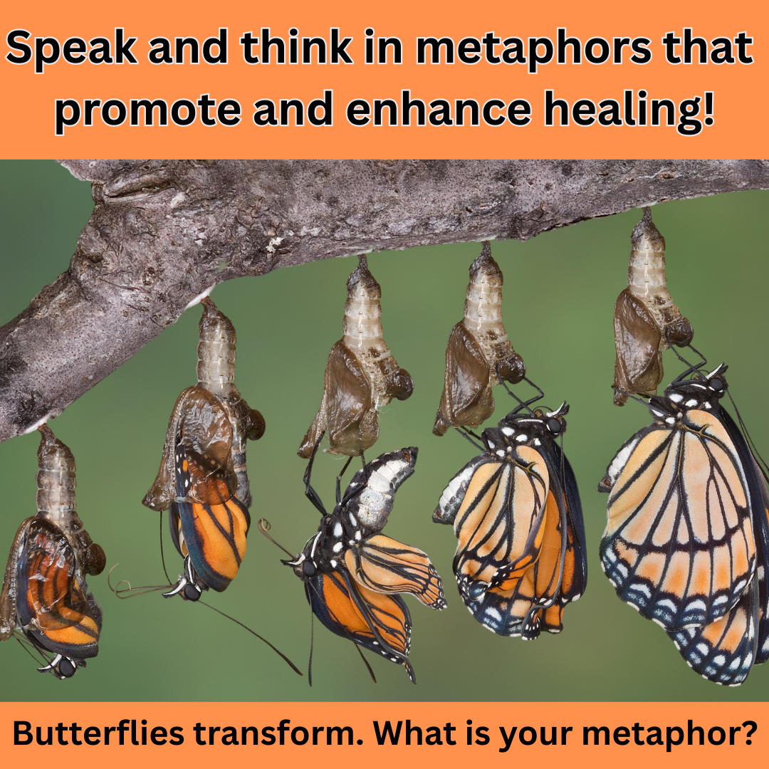 The Value of Metaphors…