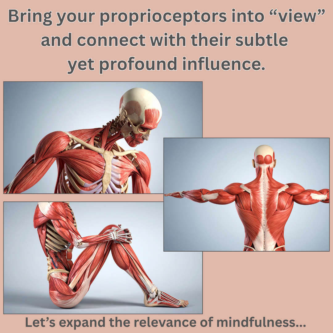 Proprioceptors are essential for effective mindfulness.