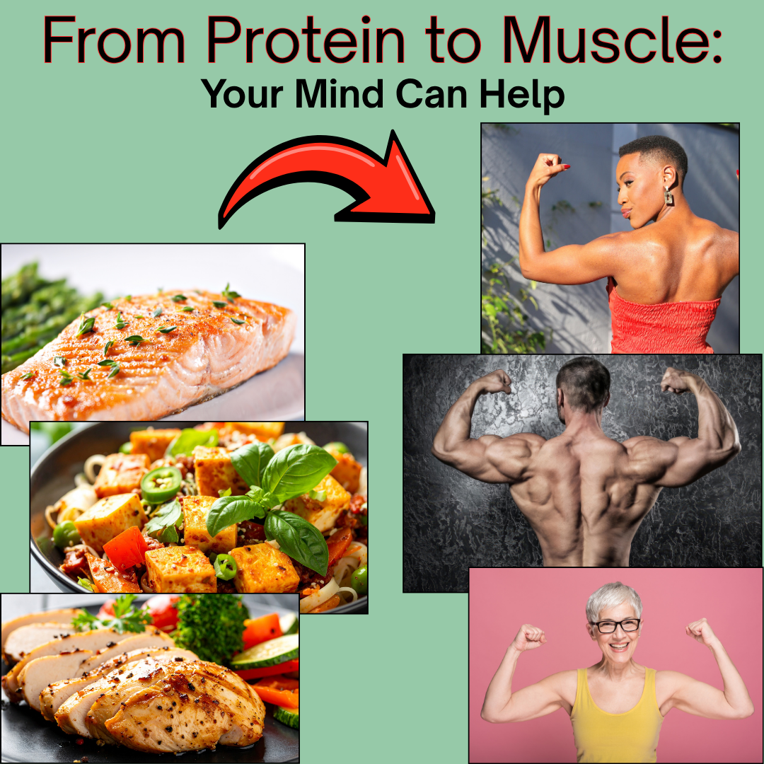 From Protein to Muscle: Your Mind Can Help