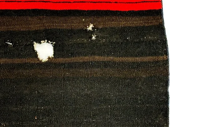 T-N-00015 Image 8:11.jpeg