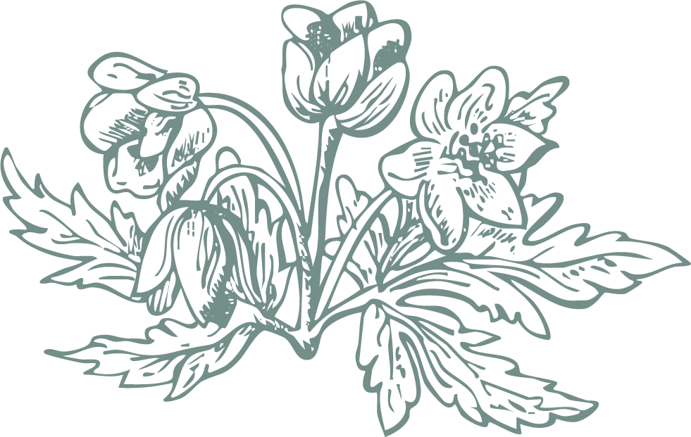 Line drawing of a bouquet of flowers including roses and leaves. Art by Signora e Mare.