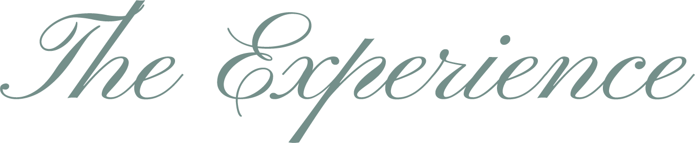 The word "The Experience" written in elegant, cursive font.