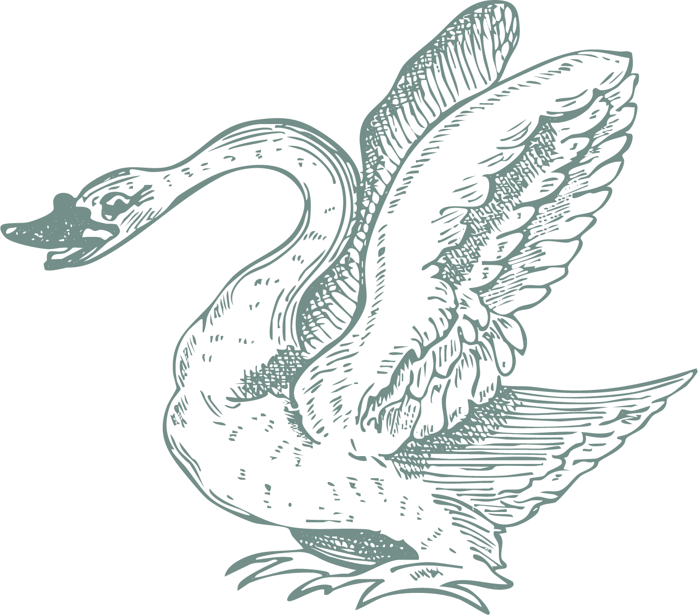 A stylized illustration of a swan with wings spread, facing left, on a black background.