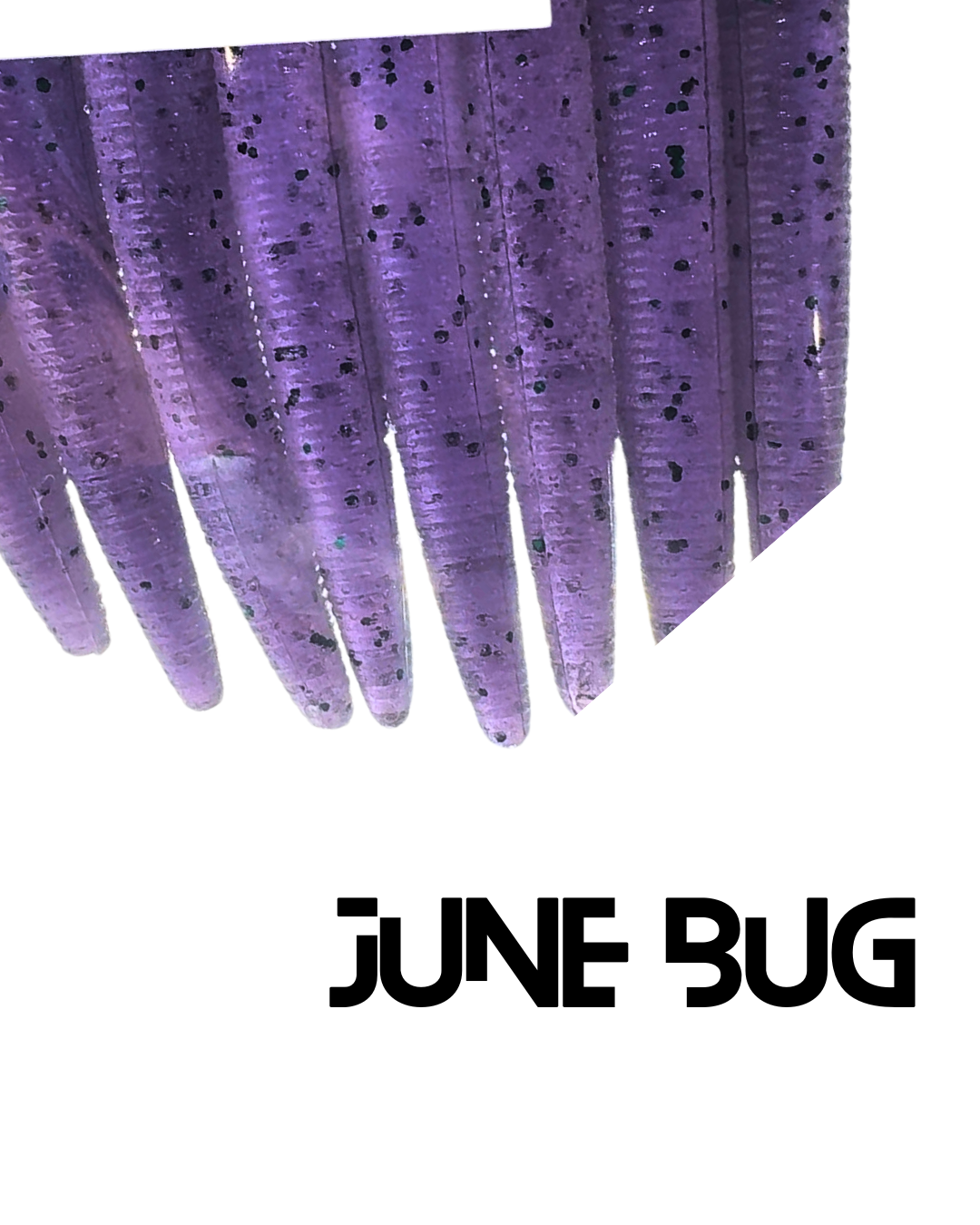 JUNE BUG COLOR.png
