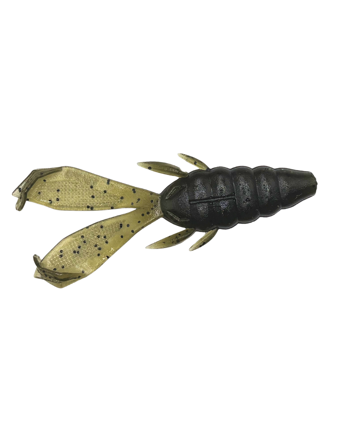 Bushi Beetle