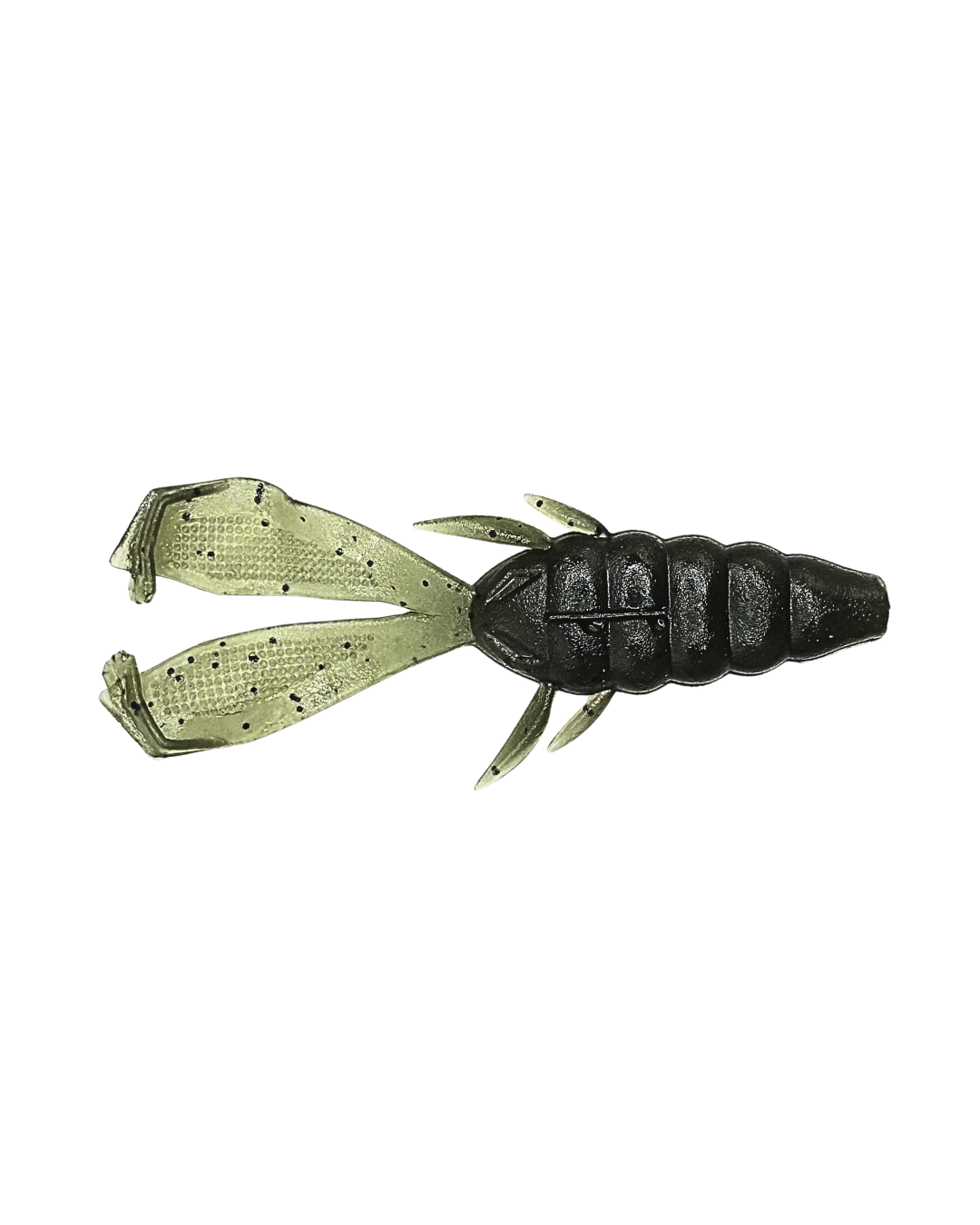 Bushi Beetle Watermelon