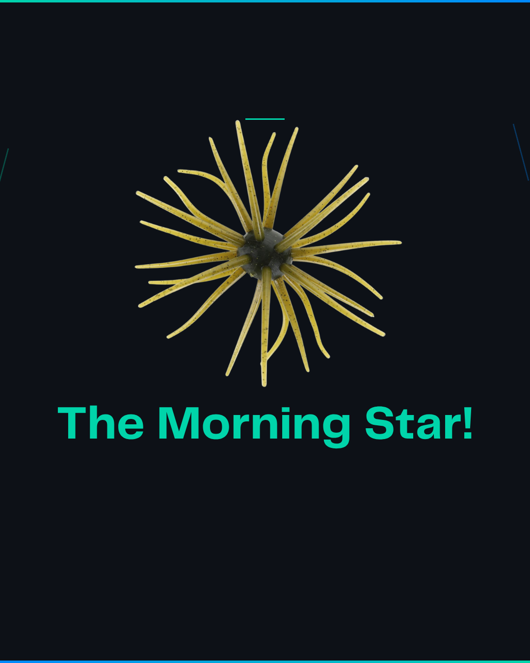 Morning Star - 4