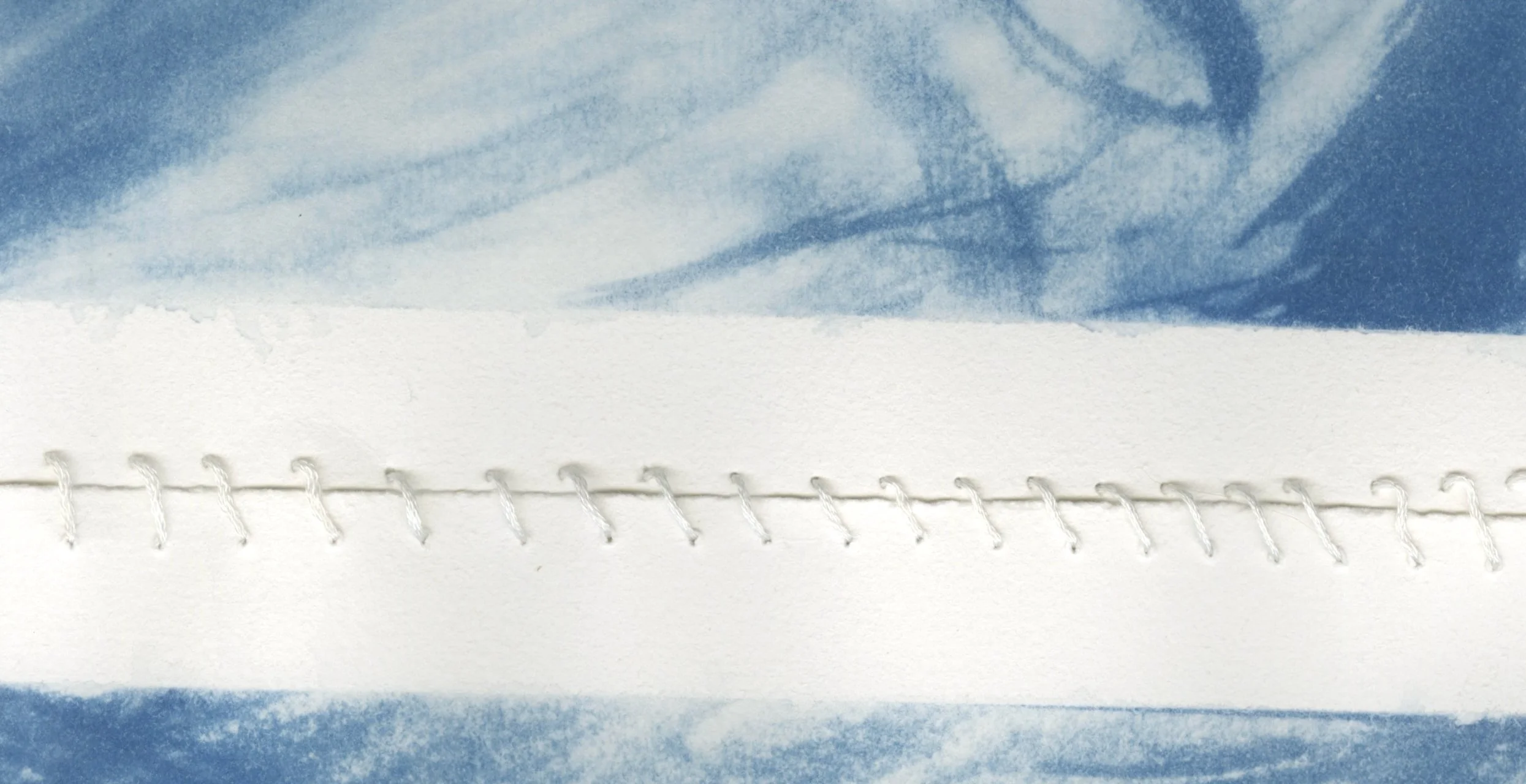 The Next Artists: Beatrix Shelton