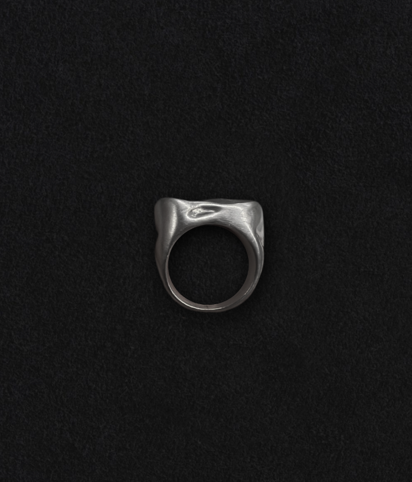 Custom Ring

Sterling Silver. Satin Finish. Hand-made