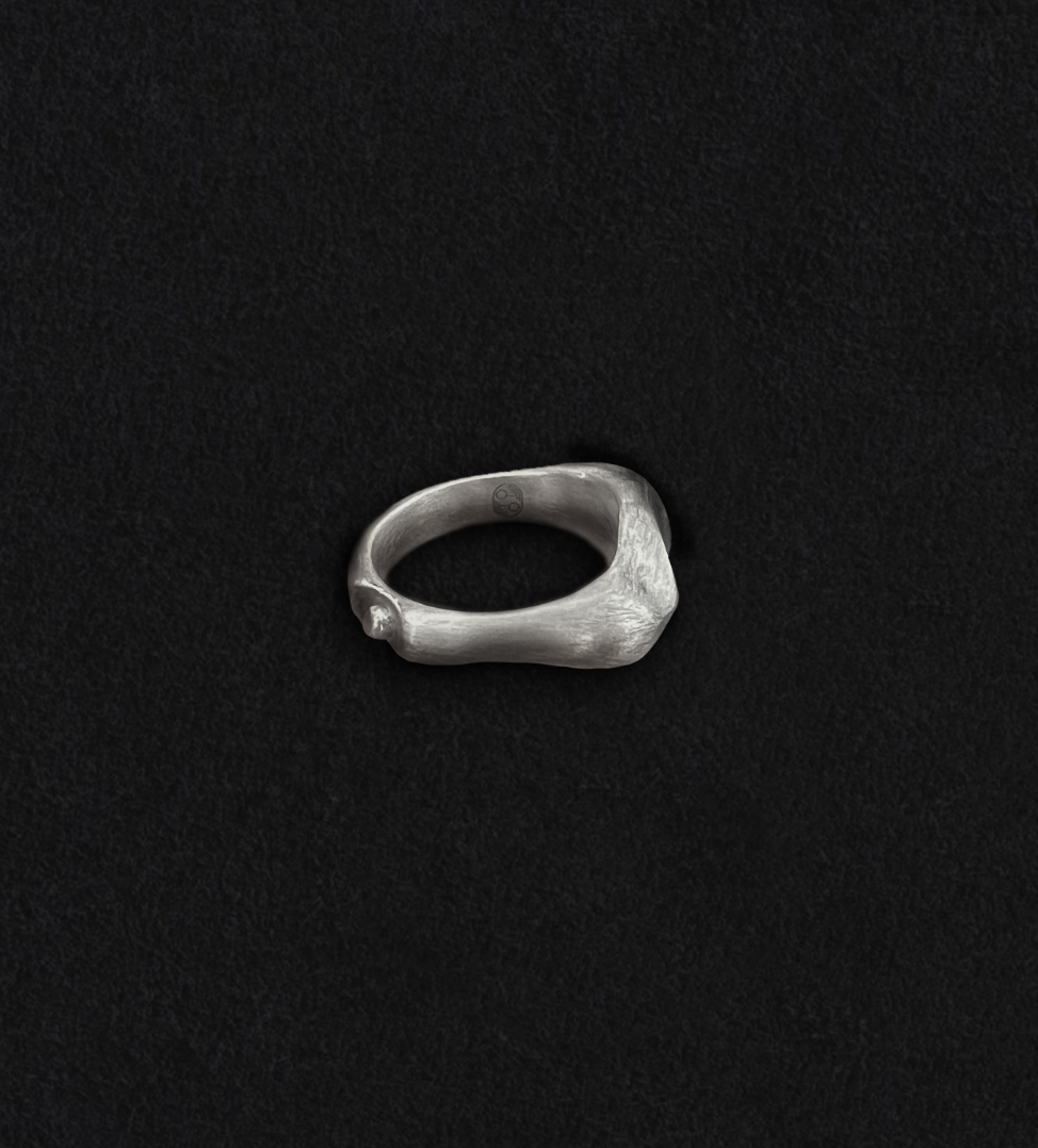 Custom Ring

Sterling Silver. Brushed Finish. Hand-made