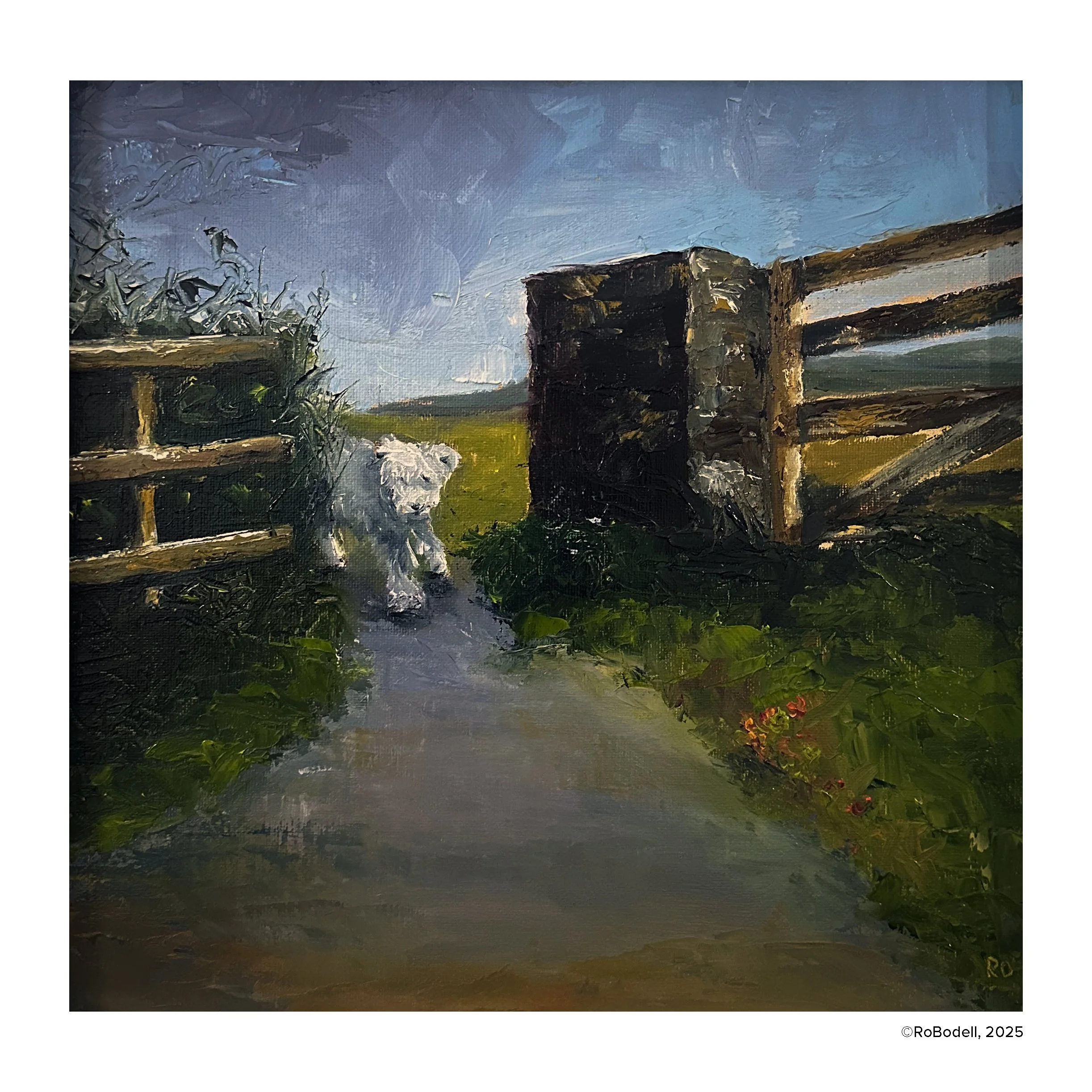 Irish Landscape Series: Boundless, 12x12 Oil on Panel