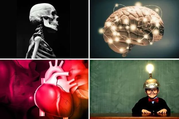 26 astounding facts about the human body
